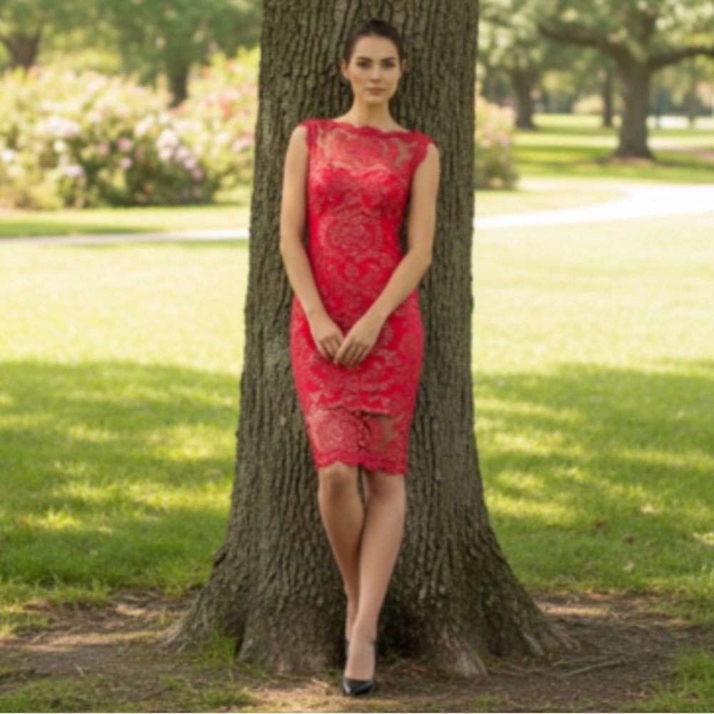 Tadashi Shoji Paillette Embroidered Illusion Lace Dress Size 14